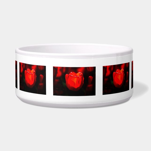 Red Tulip Flower - Fire (Front)