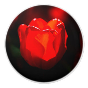 Red Tulip Flower - Fire Ceramic Knob