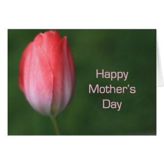 red tulip flower, happy mother's day