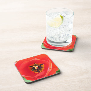 Red Tulip Flower Macro Photo Set of 6 Coaster