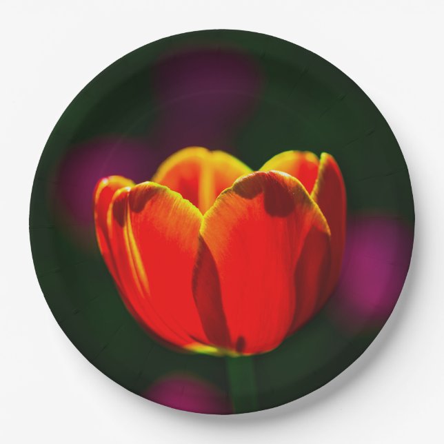 Red tulip flower paper plate (Front)
