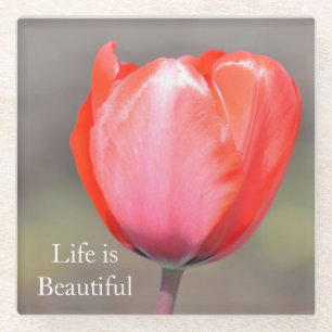 Red Tulip Flower (photo by me) Glass Coaster