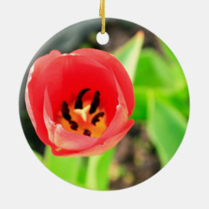 Red Tulip Flower Photograph Ceramic Tree Decoration