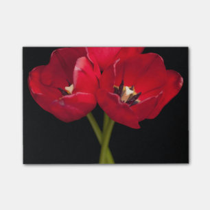 Red Tulip Flowers Black Background Floral Flower Post-it Notes
