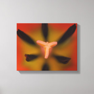 Red Tulip Flowers Close Up Canvas Print