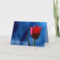 Red Tulip Happy Divorce Day