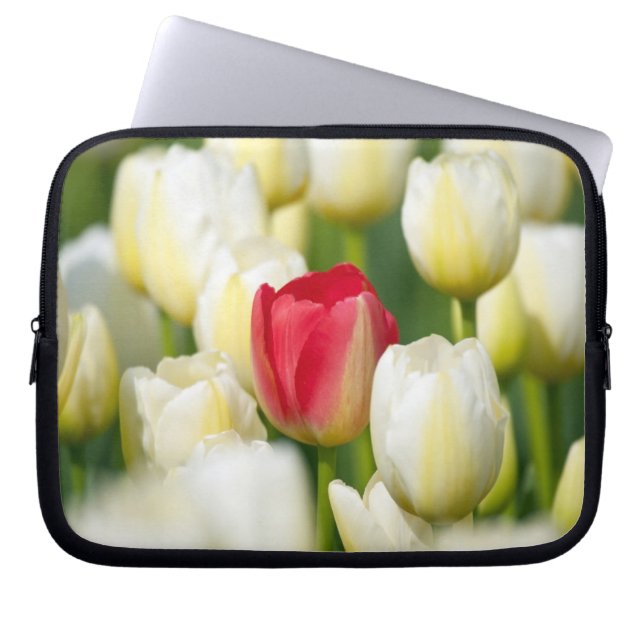 Red tulip in a field of white tulips laptop sleeve (Front)