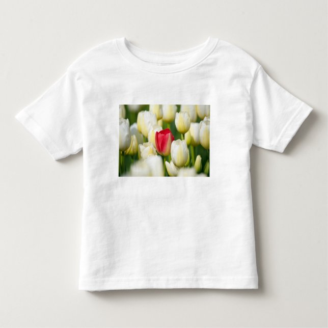 Red tulip in a field of white tulips toddler T-Shirt (Front)