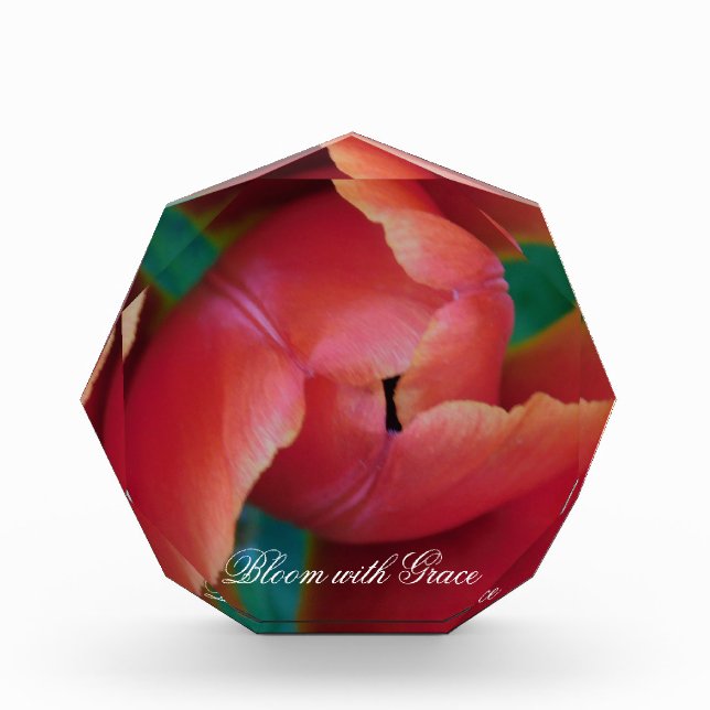 Red Tulip Macro Photo Art Block (Front)