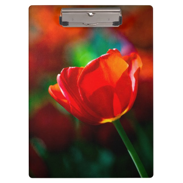 Red tulip - Mystery of blooming Clipboard (Front)