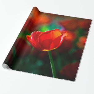 Red tulip - Mystery of blooming Wrapping Paper