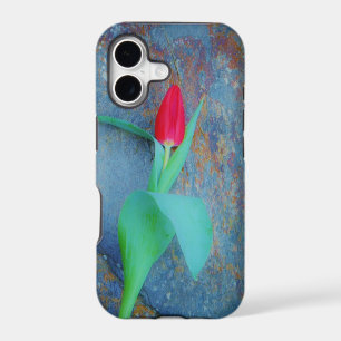 Red Tulip on Blue Grey Slate
