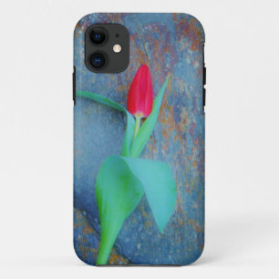 Red Tulip on Blue Grey Slate iPhone 11 Case
