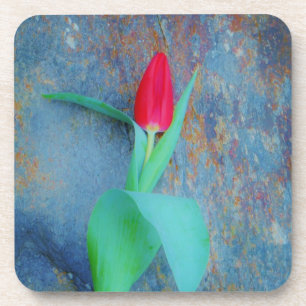 Red Tulip on Blue Grey Slate Coaster