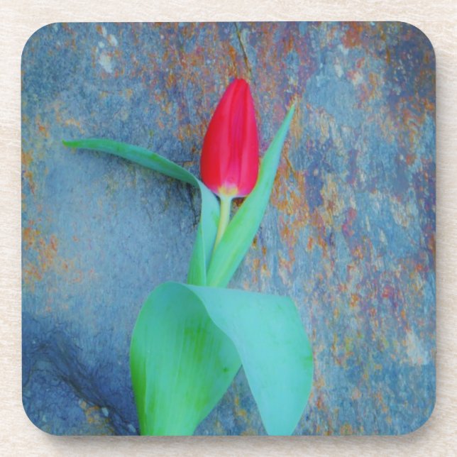 Red Tulip on Blue Grey Slate Coaster (Front)