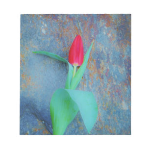 Red Tulip on Blue Grey Slate Notepad