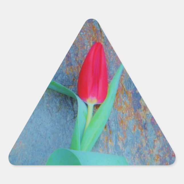 Red Tulip on Blue Grey Slate Triangle Sticker (Front)