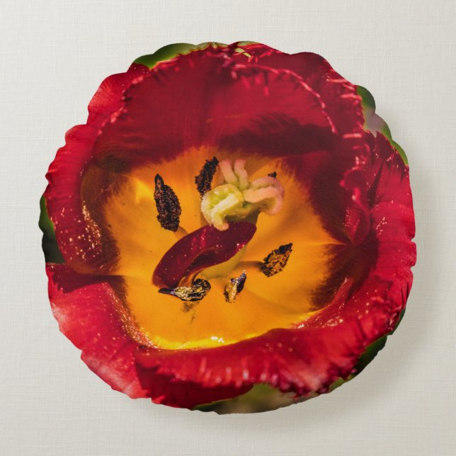 Red tulip round cushion (Front)