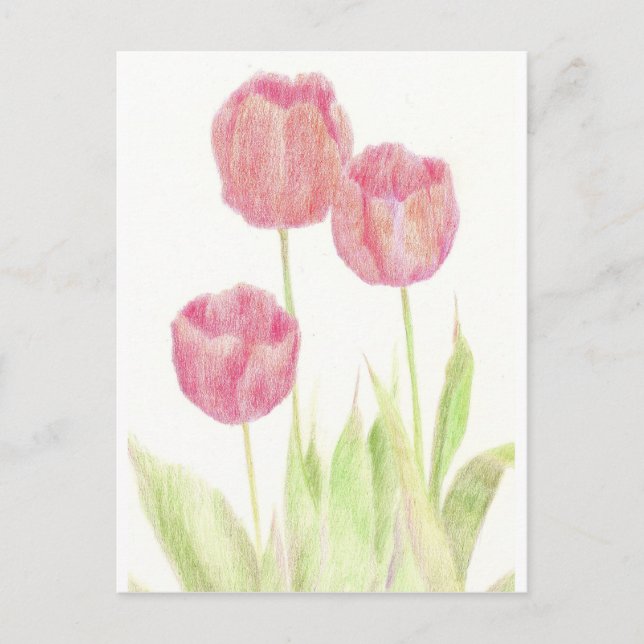 Red Tulip Spring Flower Cottage Garden Art Postcard (Front)