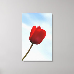 Red Tulip Wrapped Canvas