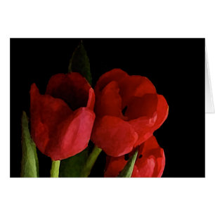 Red Tulips