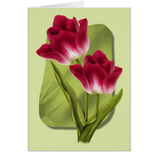 Red Tulips