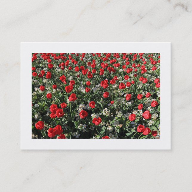 Red Tulips and Primroses (Bordered) Business Card (Front)