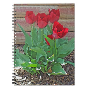 Red Tulips Art Notebook