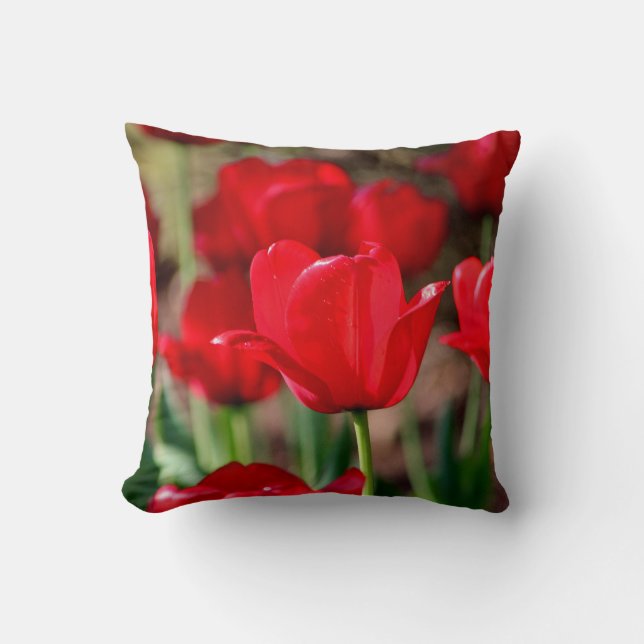 Red Tulips Cushion (Front)