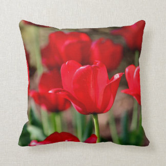 Red Tulips Cushion