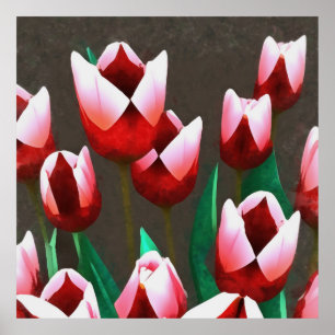 Red Tulips Floral Abstract Poster