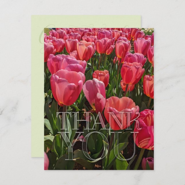 Red Tulips Flowers theme Thank You (Front/Back)