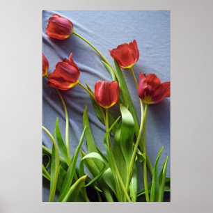 Red Tulips for Kerstin Poster Print
