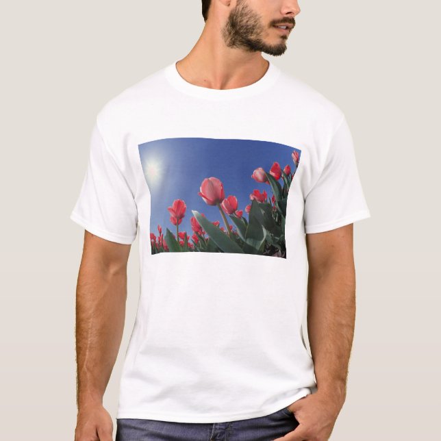 Red tulips from very low angle, Cincinnati, T-Shirt (Front)