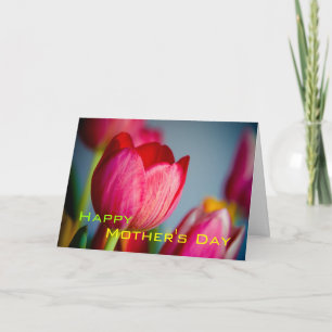 Red Tulips • Happy Mother's Day Card