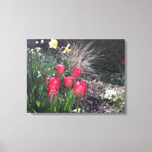 Red tulips in the garden canvas print