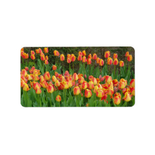 Red Tulips Label