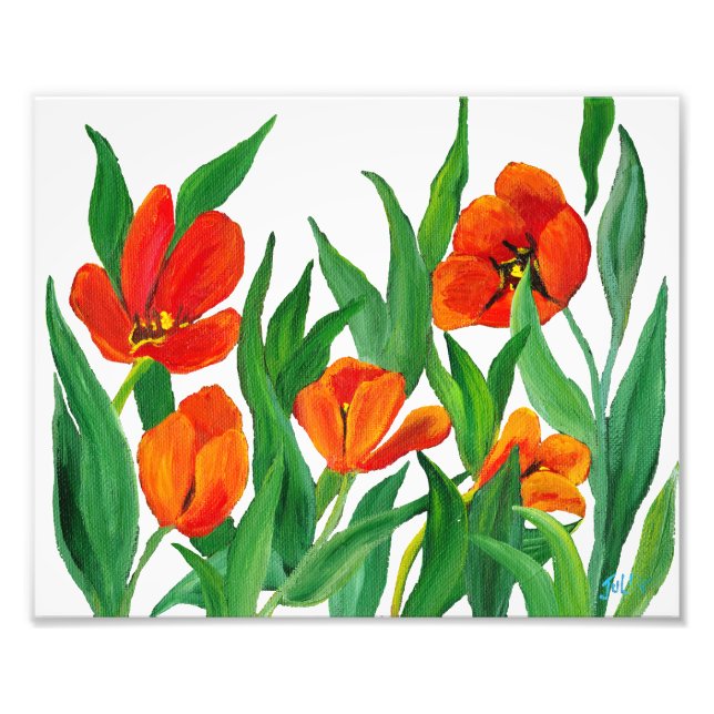 Red Tulips Photo Print (Front)