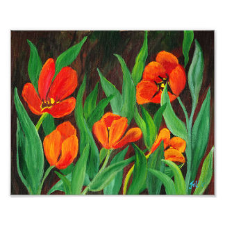 Red Tulips Photo Print