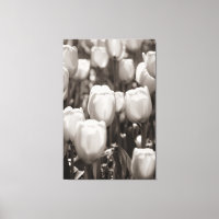 Red tulips photographic print. canvas print