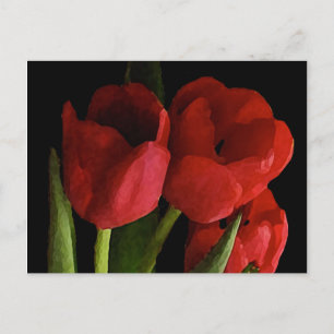 Red tulips postcard