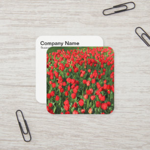 Red Tulips Square Business Card
