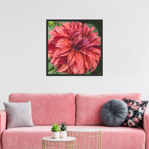 Red Variegated Dahlia Bloom Floral Canvas Print