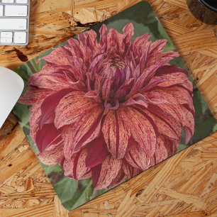 Red Variegated Dahlia Bloom Floral Mouse Pad