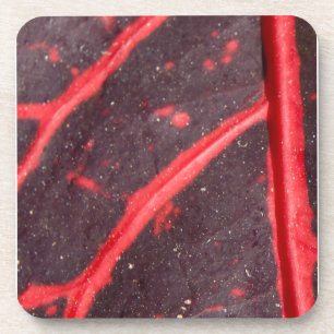 Red Veined Hawaiian Leaf 3 Coaster