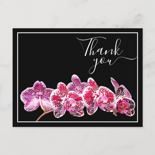 Red Veined Orchid Against Black Backdrop Thank You Postcard (Front)