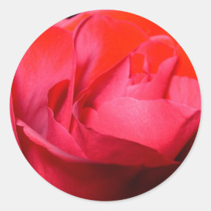 Red Velvet Classic Round Sticker