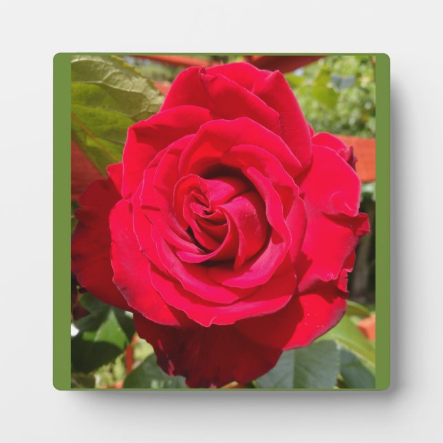 Red Velvet Plaque (Front)