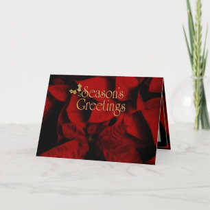 Red Velvet Poinsettia Season's Greetings Holiday Card