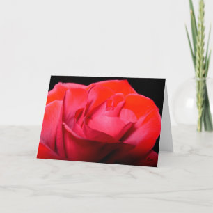 Red Velvet, S Cyr Holiday Card